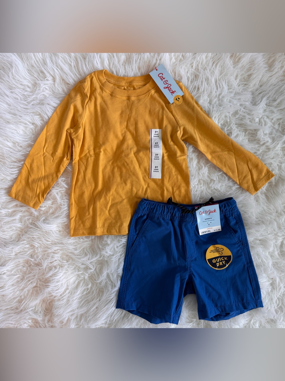 Cat & Jack Boys' Quick Dry 'Above the Knee' Pull-On Shorts and Long sleeve shirt